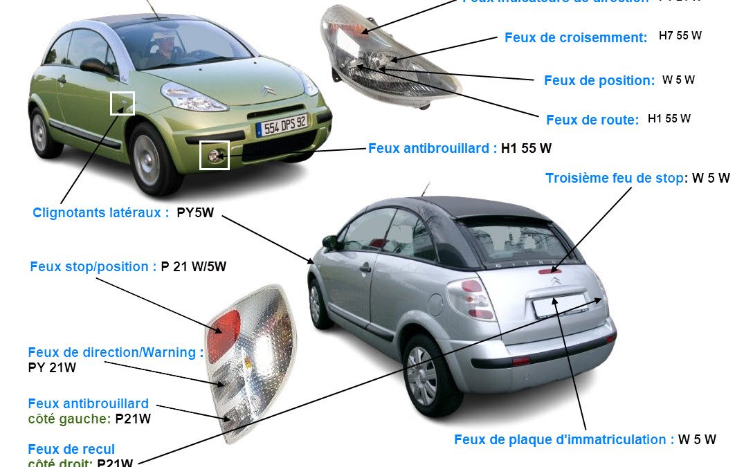 Quels sont les types de Lampes et ampoules pour C3 Pluriel
