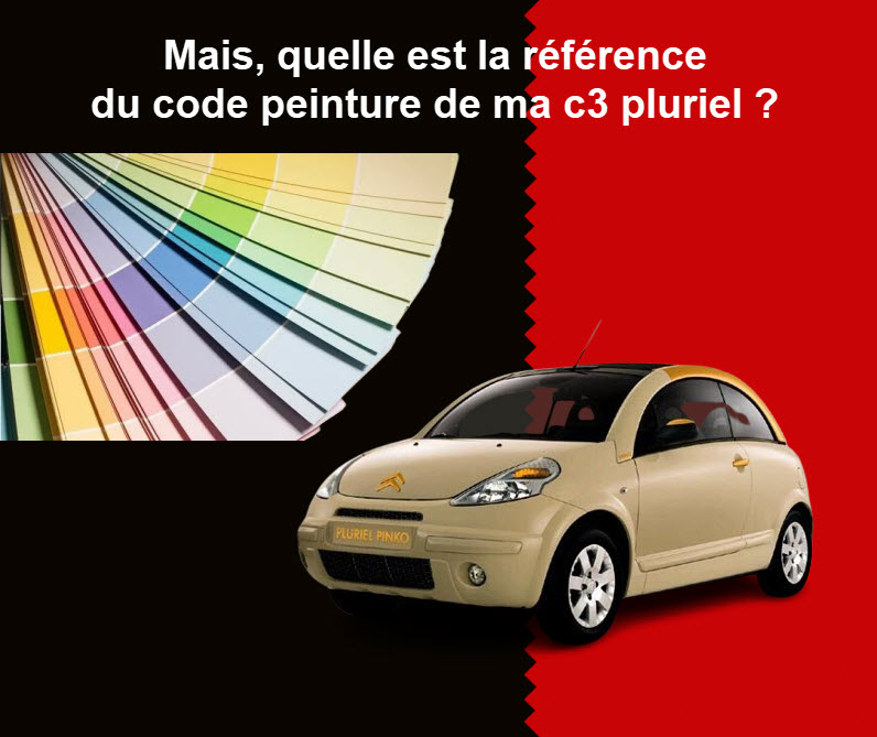 Références code peinture c3 pluriel