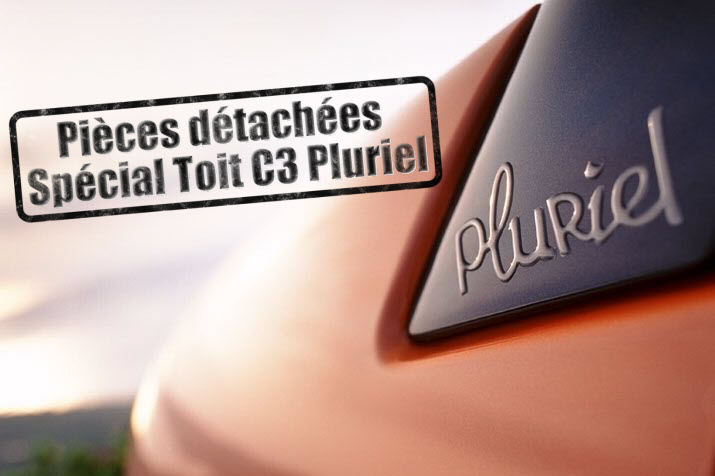 Pièces détachées toit C3 Pluriel