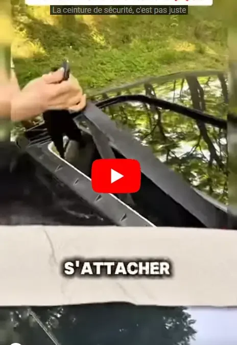 Mon défi vidéo vingt-quatrième jour