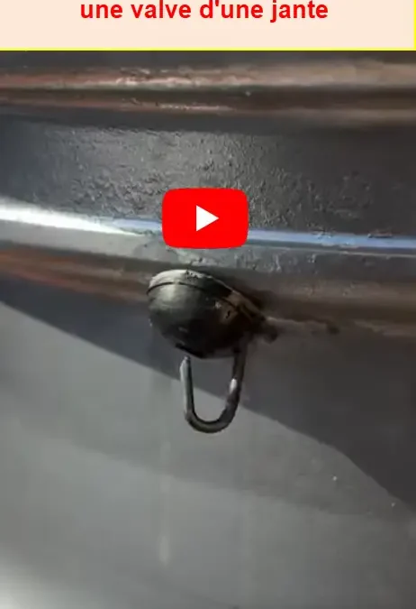 Mon défi vidéo vingt-et-unième jour