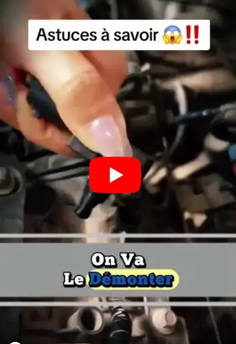 Mon défi vidéo quinzième jour