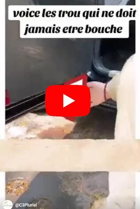 Mon défi vidéo onzième jour